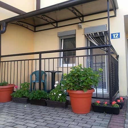 New Studio 70M To The Lake Ohrid Bagian luar foto