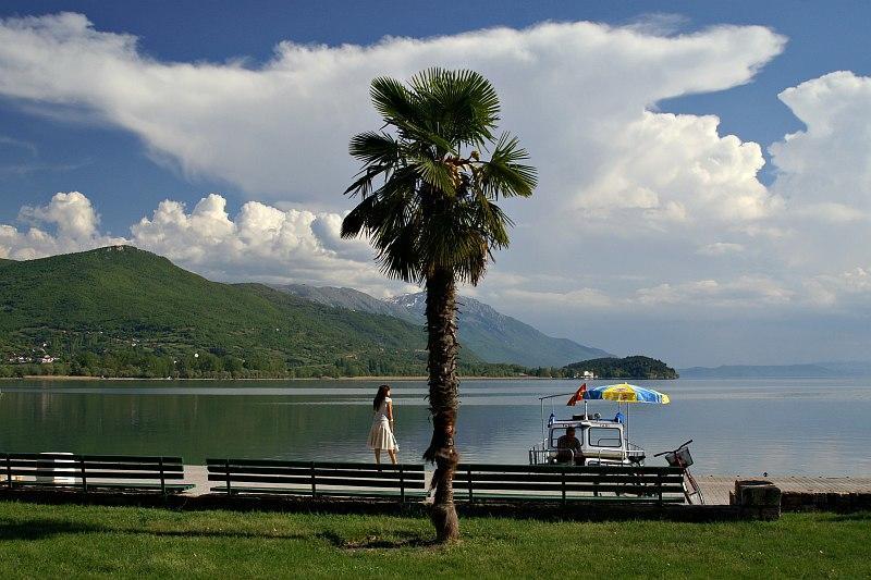New Studio 70M To The Lake Ohrid Bagian luar foto